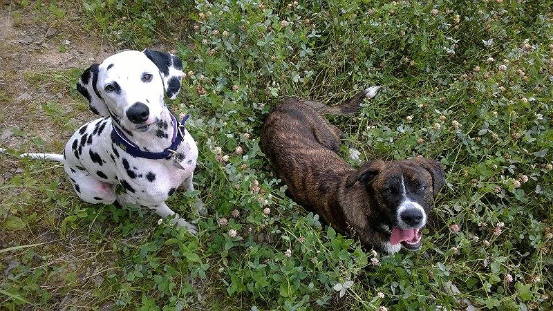 IMG_8859_200150402_8