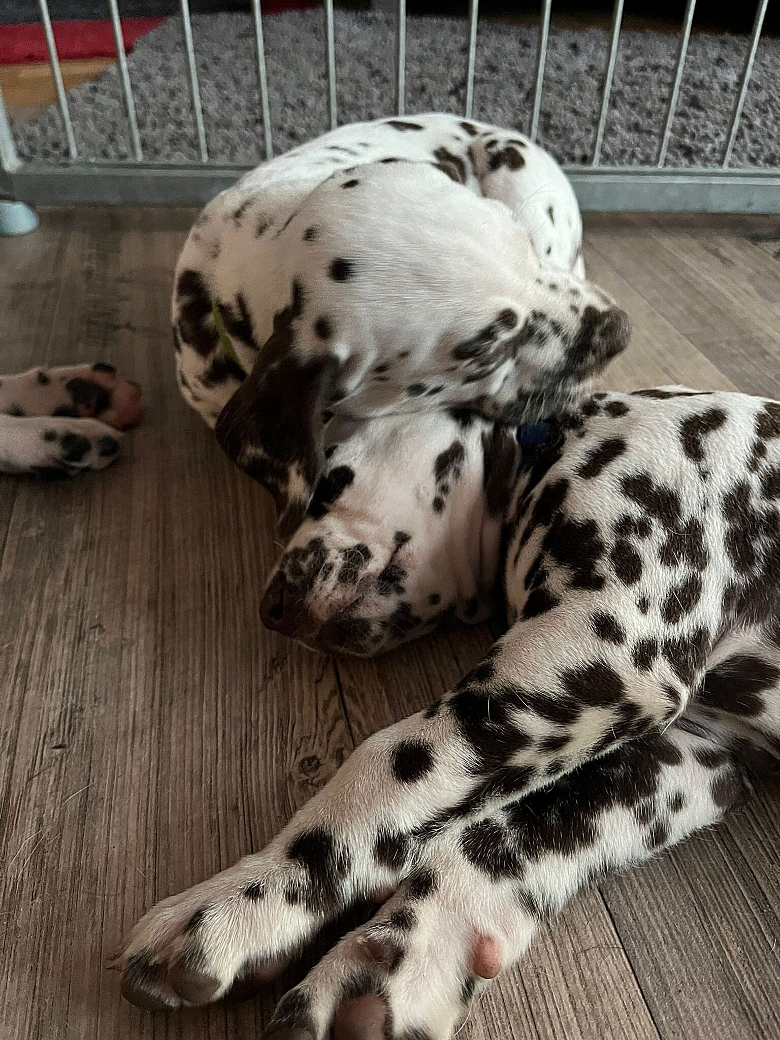 20240812_164500_a1ec61ba-5ee2-4ba4-8081-d457b2657e15