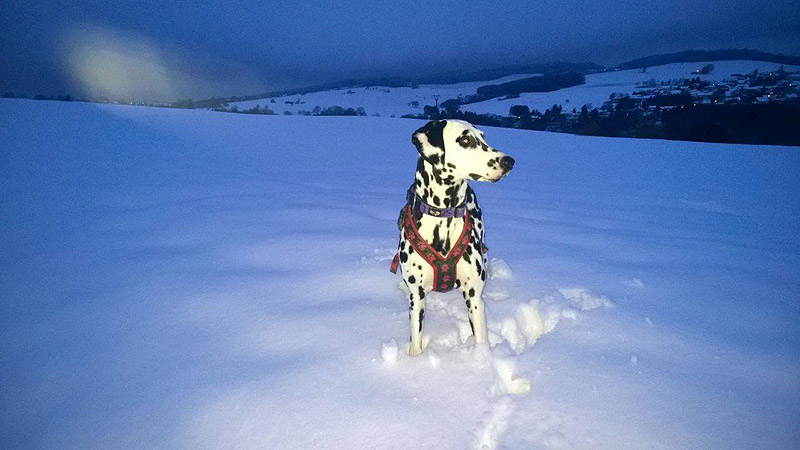 IMG_8832_20150302_11