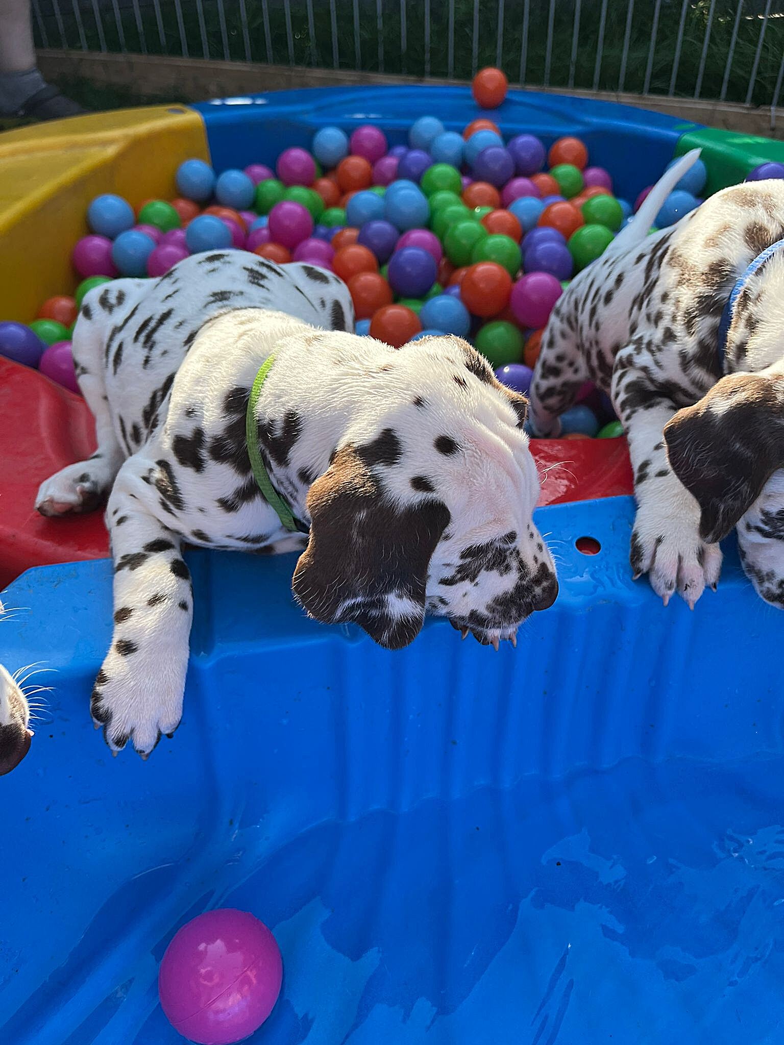 20240812_164500_76abbc14-c8f3-44bf-9c61-82a6763de367