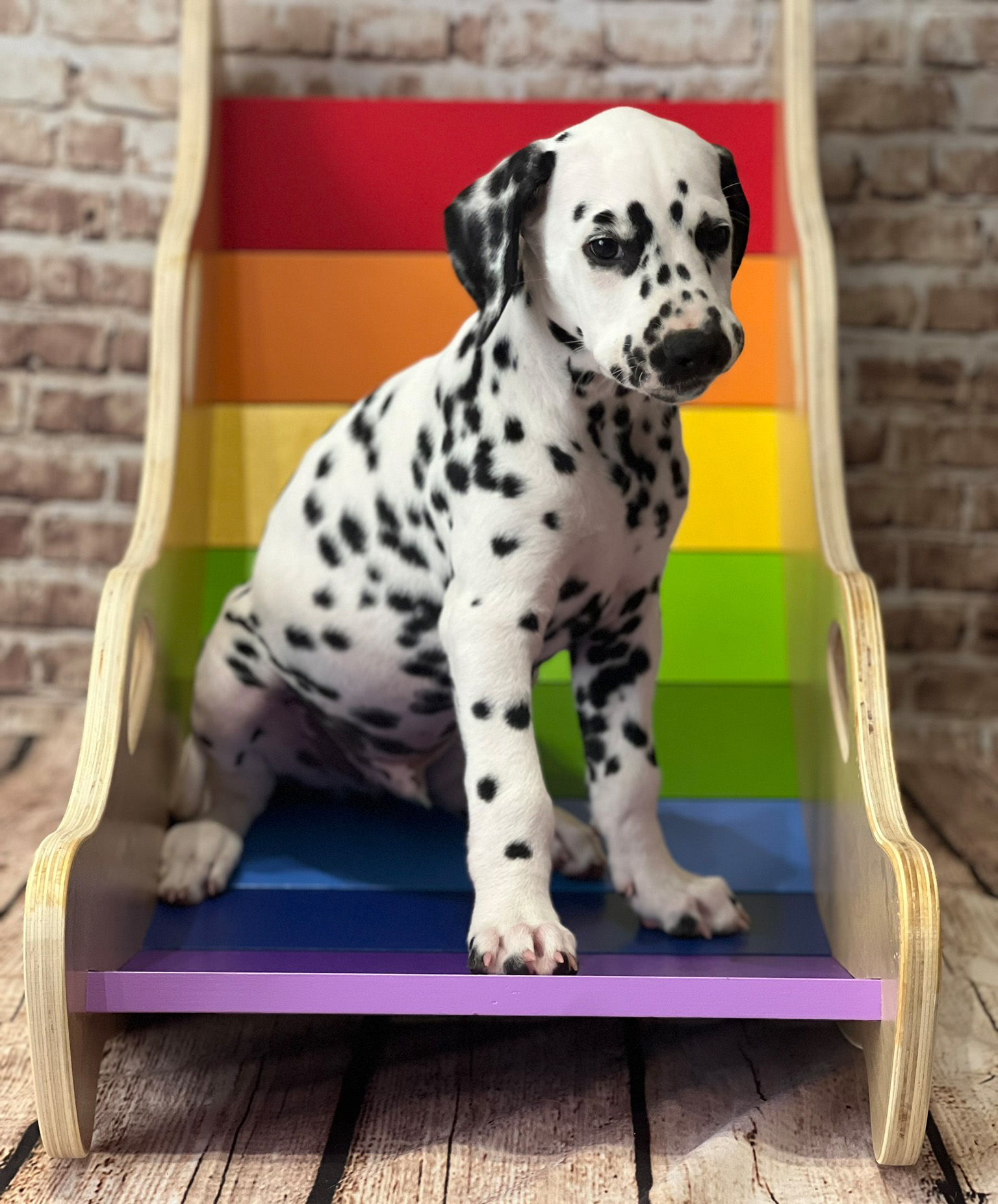 20240902_091200_Gino