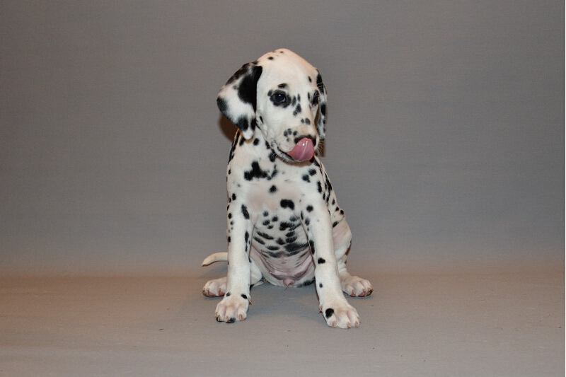 IMG_8200_2013-08-06_2034_050