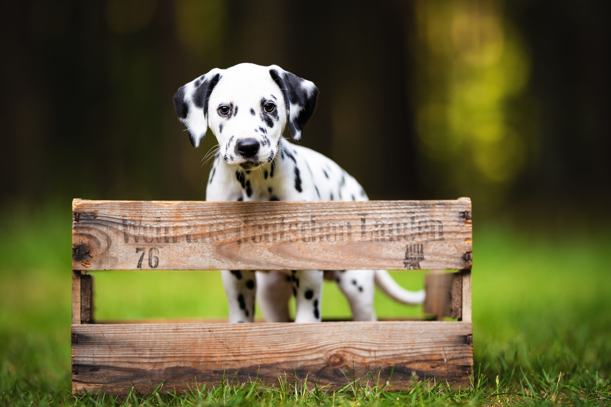 2019_05_29_Final_Shooting_Disney