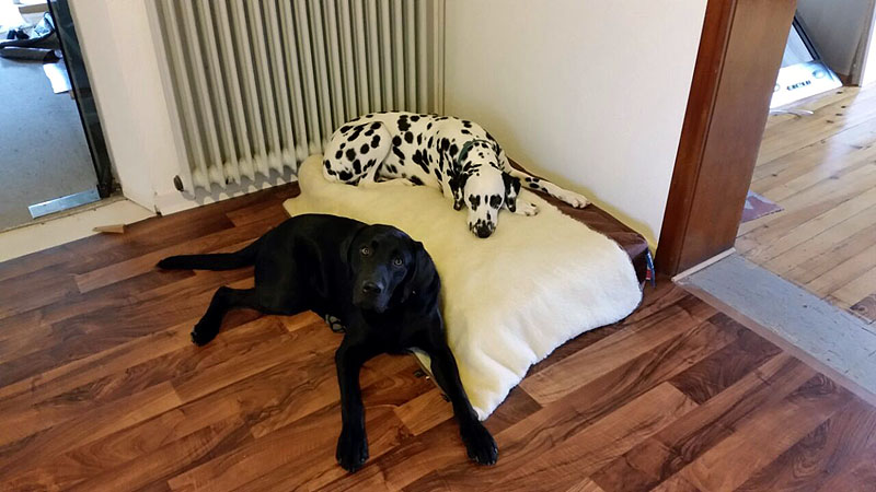 IMG_8804_20150302_18