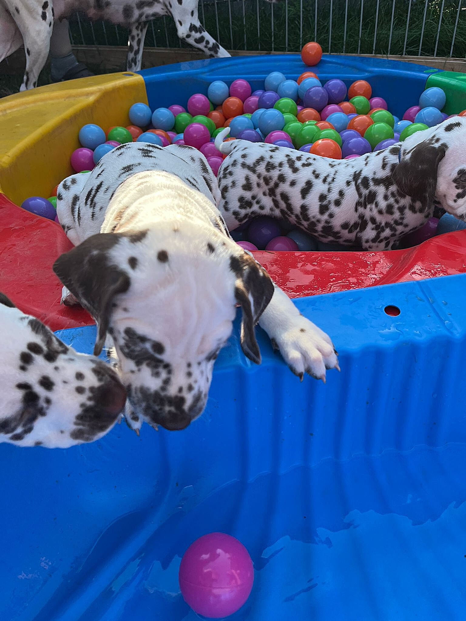 20240812_164500_94940d9a-be1a-4251-b077-e0bfc682918e