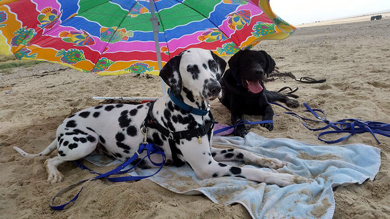 IMG_8804_20150302_27