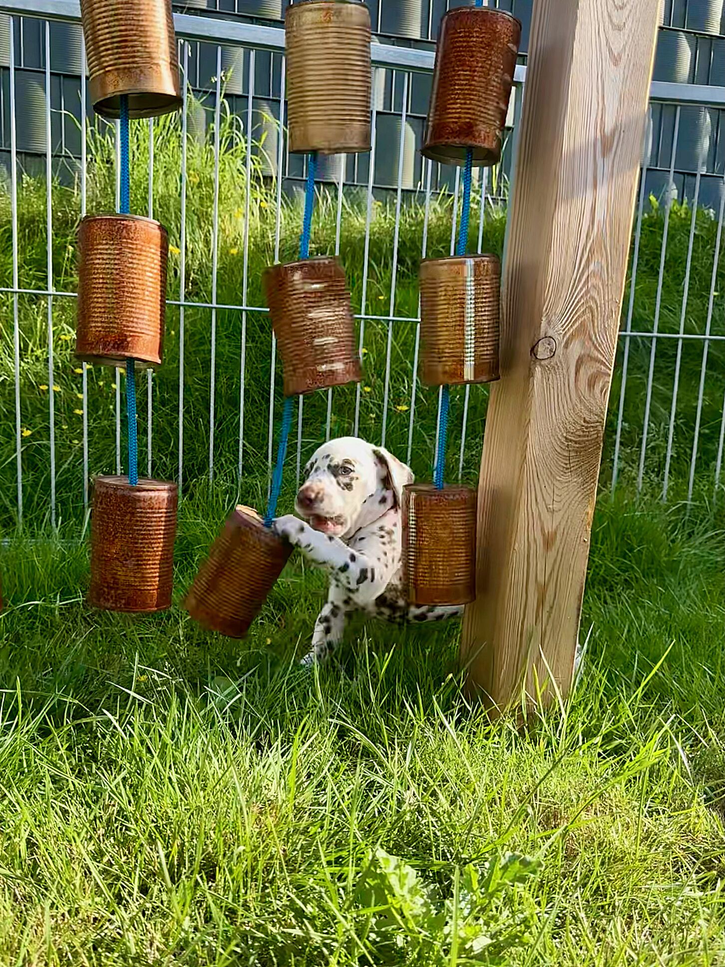 20240808_170000_image5