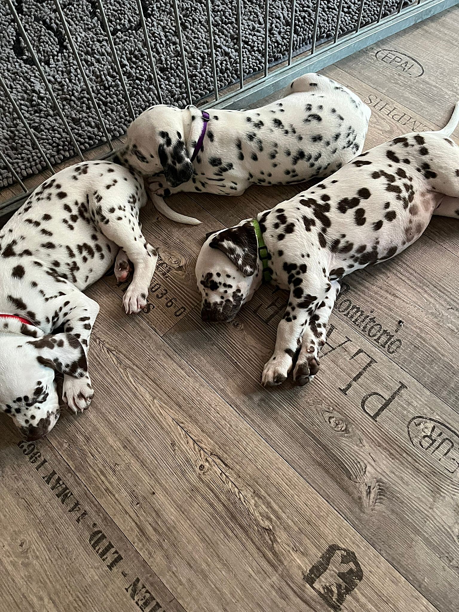 20240812_164500_df59bb39-de62-4a4c-9cae-919a1bdb2484