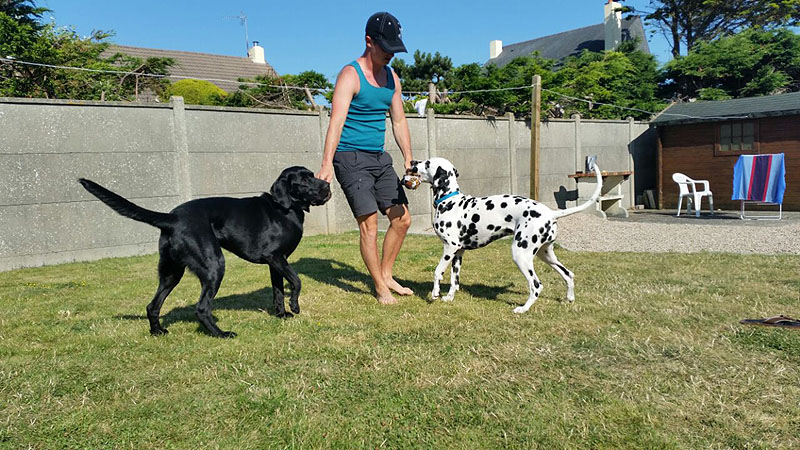 IMG_8804_20150302_38