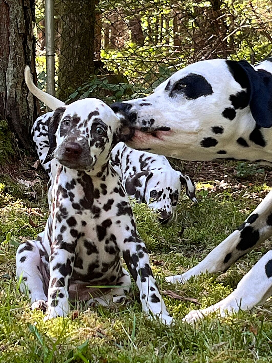 20240824_113016_IMG_8935