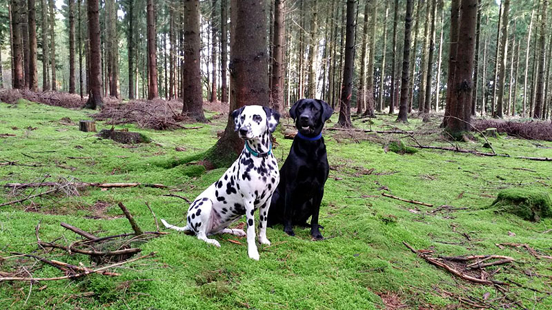 IMG_8804_20150302_15