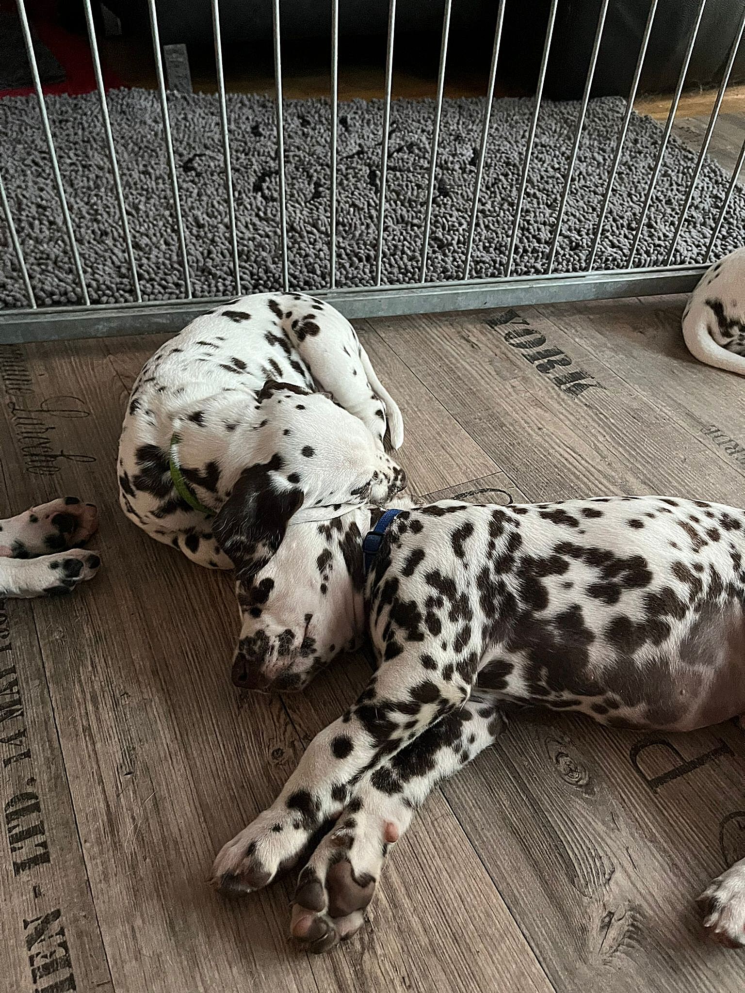 20240812_164500_6e5dd3c9-19ee-49b0-a404-b0aa32f79481