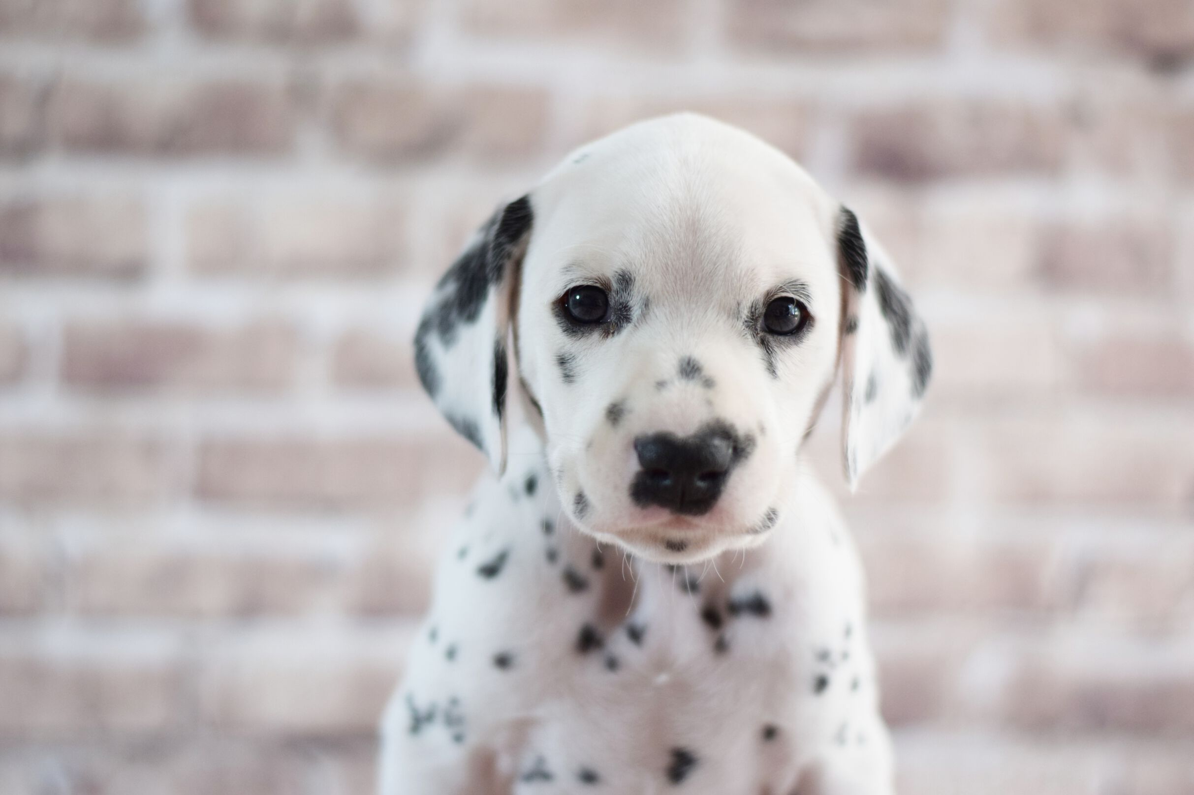 2021_04_27_65_Orange