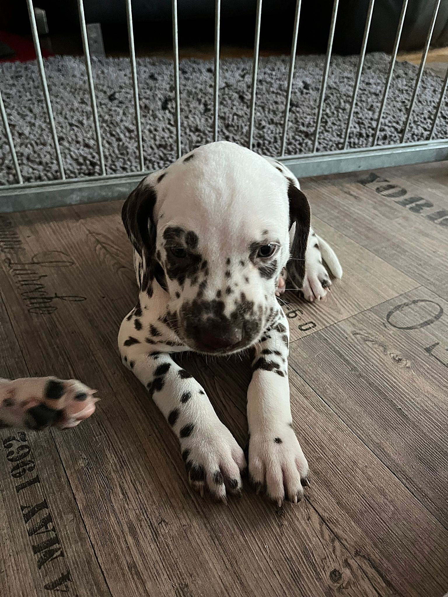 20240812_164500_27720277-b366-4f98-bfe4-6946aa09f20d