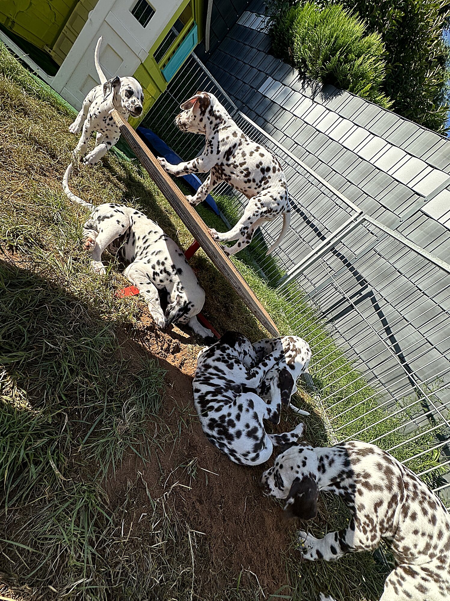 20240826_115228_IMG_9931