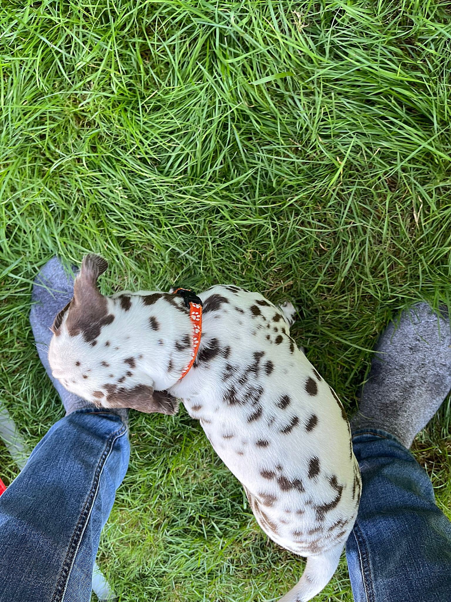 20240812_164500_7d24fe0e-37f2-4410-8da9-8080a1da1773