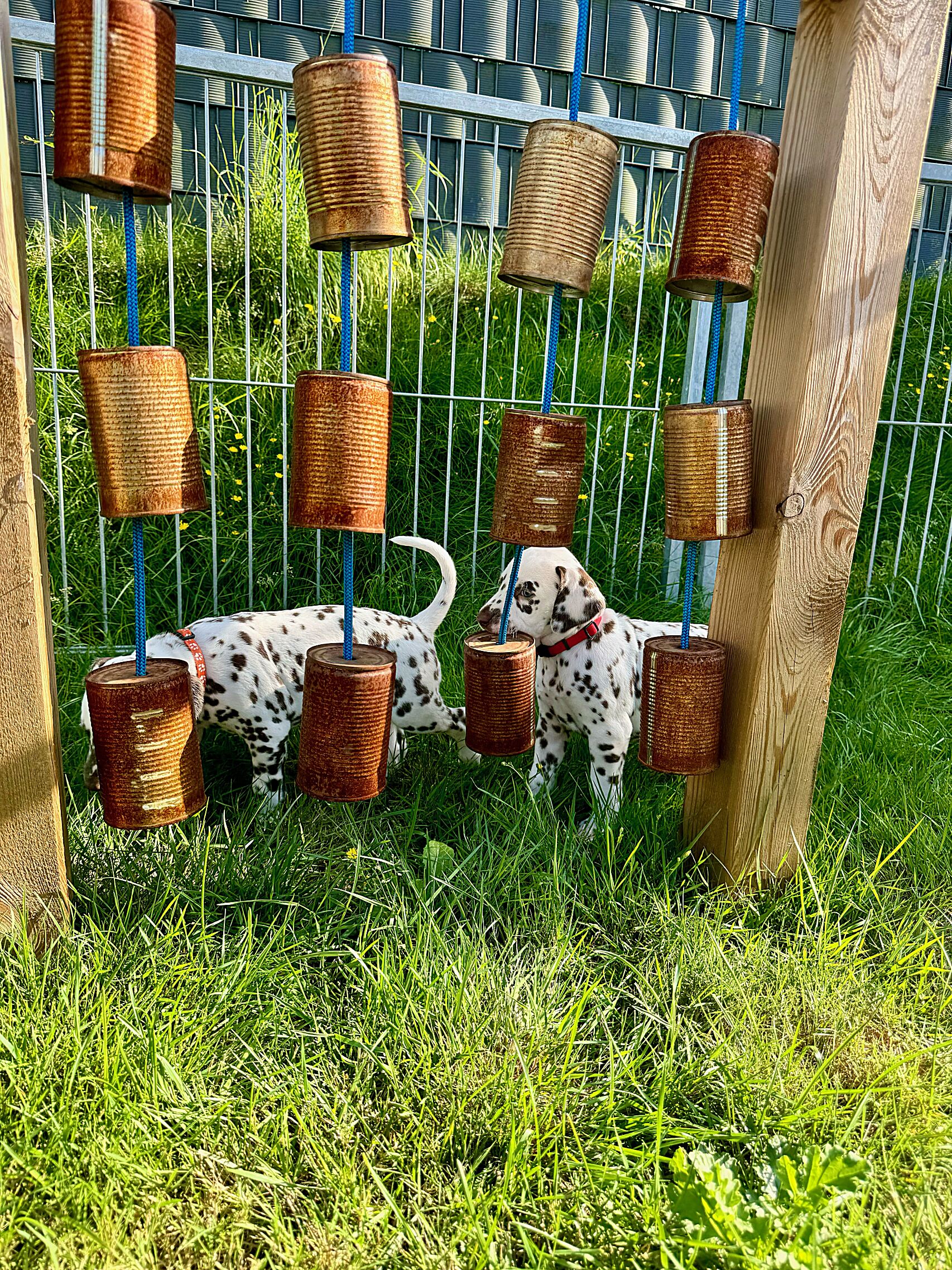 20240808_170000_image7