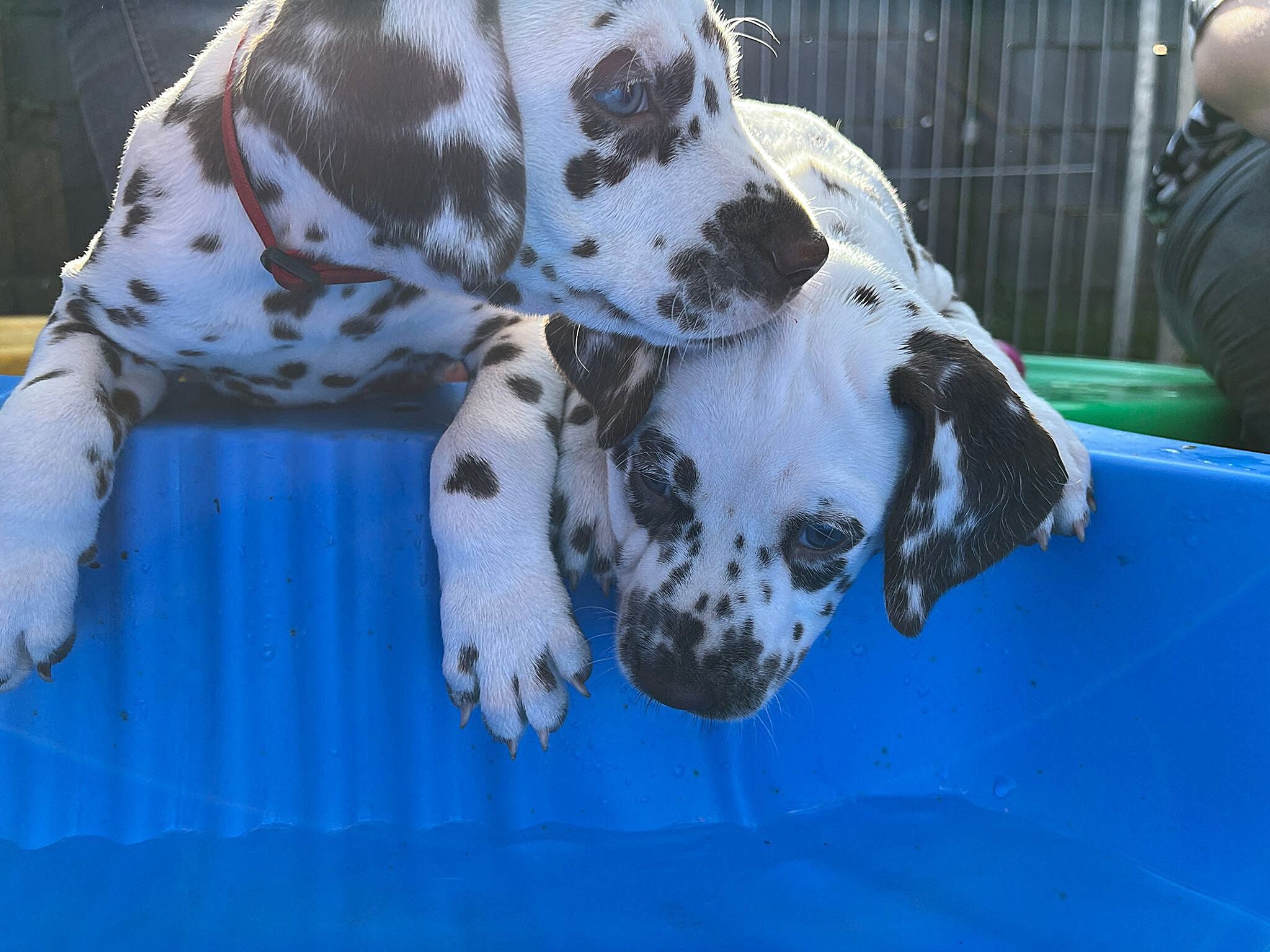 20240812_164500_e5fa4e2a-3bed-43fd-bebb-111a280cefd5