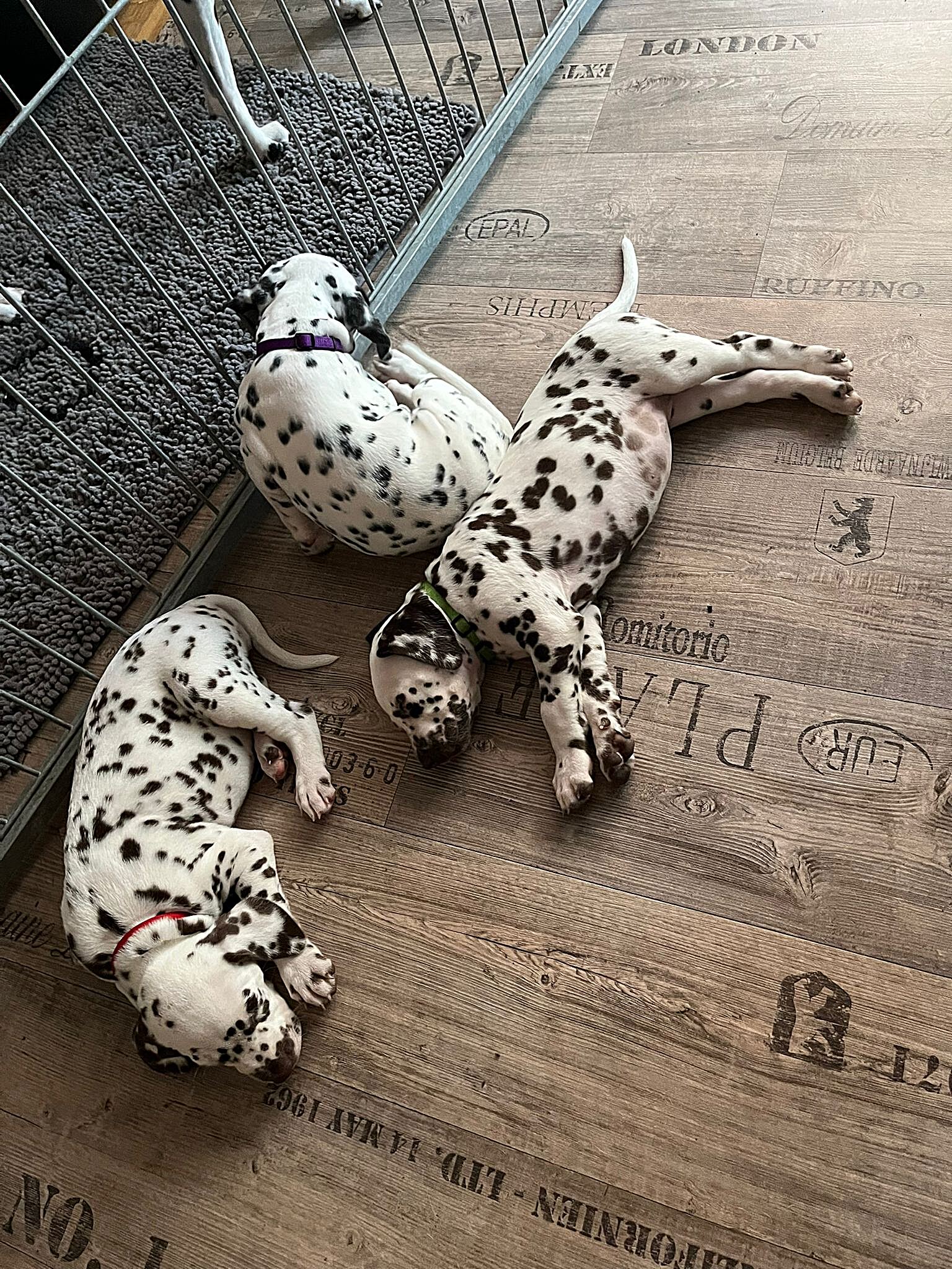 20240812_164500_77a820f5-faea-4b45-9380-6c95aae0e1ad-1