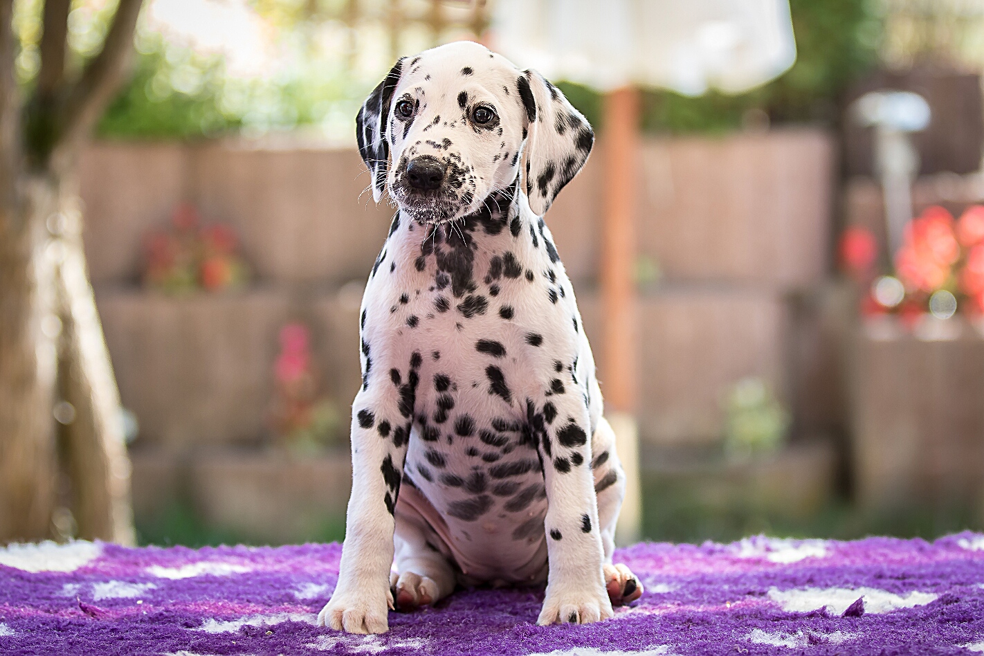 IMG_5487_EX8A2563_FrauGruen