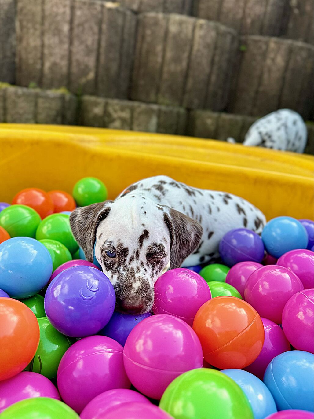 20240808_170000_image29