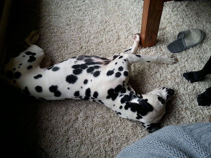 IMG_8804_20150302_10