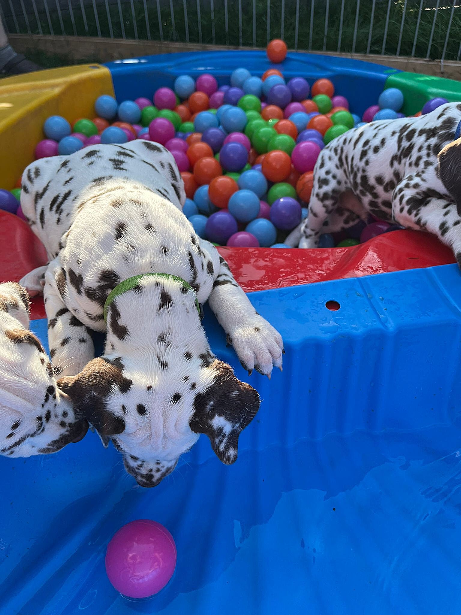 20240812_164500_4799c024-f924-43e3-a21a-f042f6548de9