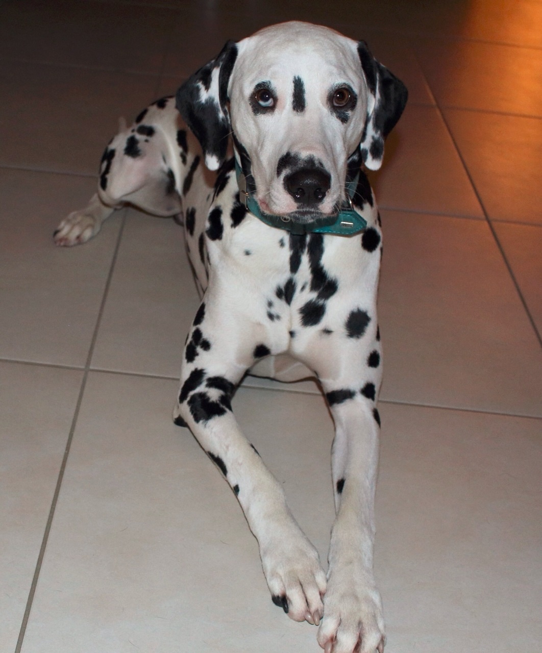 IMG_8790_20151002_04