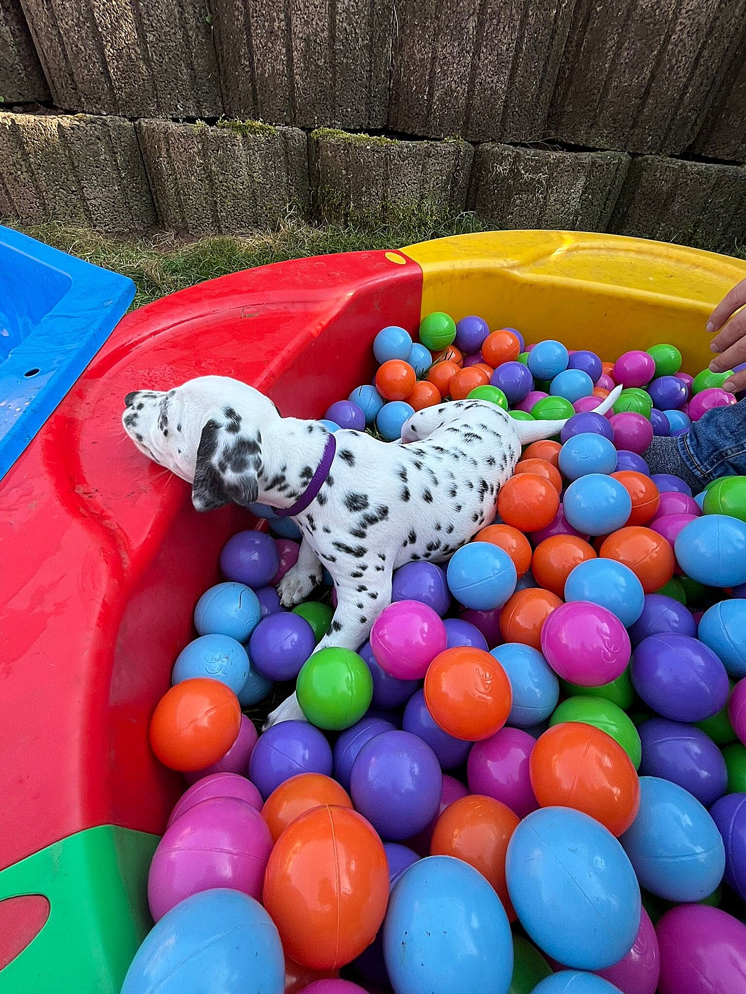 20240812_164500_71e5b292-79b4-4c52-8e65-96a1ad480377