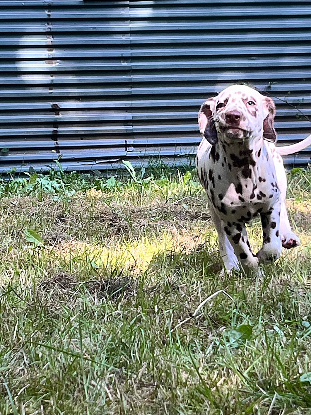 20240824_113016_IMG_8920