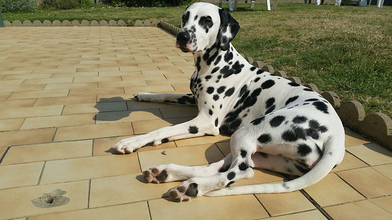 IMG_8804_20150302_37