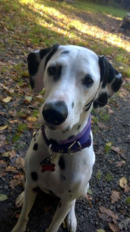 IMG_8859_200150402_4