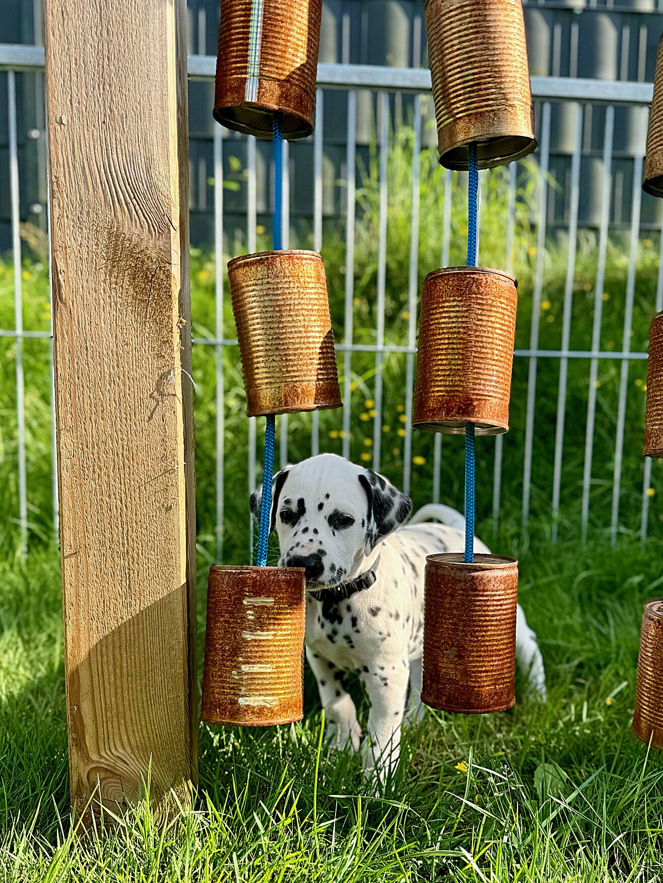 20240808_170000_image3