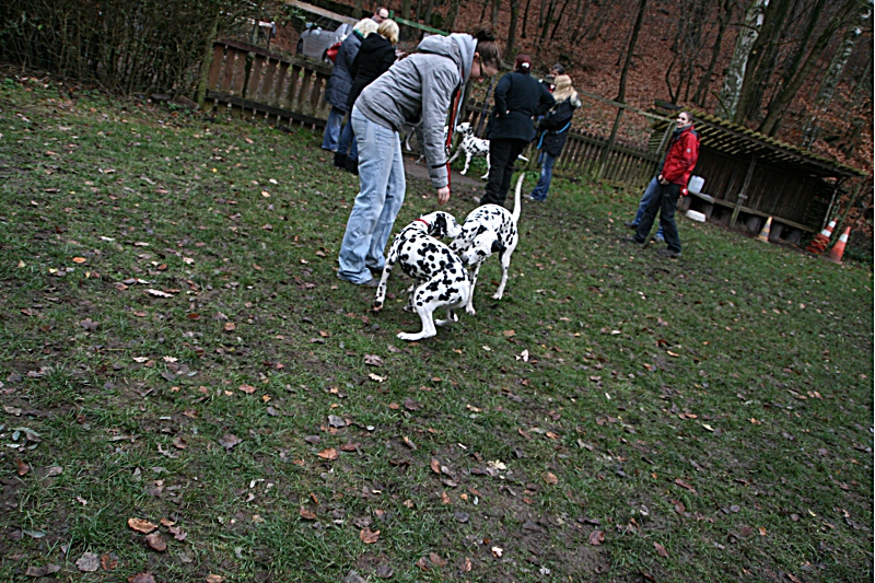 IMG_0392